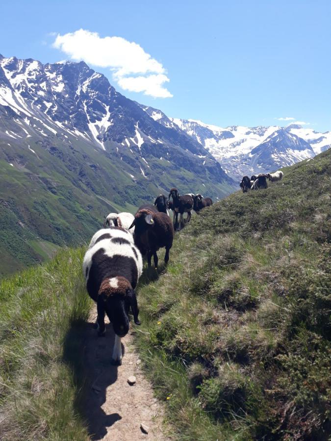 Appartamento Berg-Juwel Sankt Leonhard im Pitztal Esterno foto